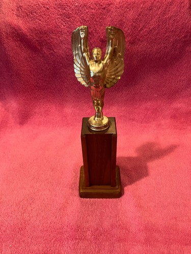 Award blank trophy - blank,