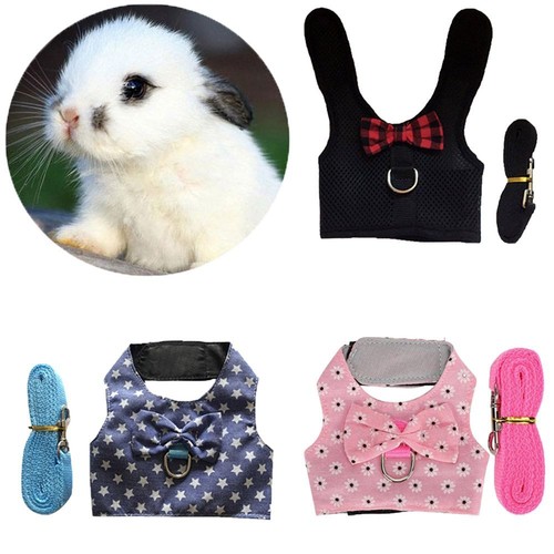 Rabbit harness and - harness, lead