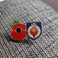 Poppy And Welsh Guards Metal Badge