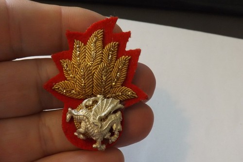 Military cloth bullion badge - cloth/bullion,