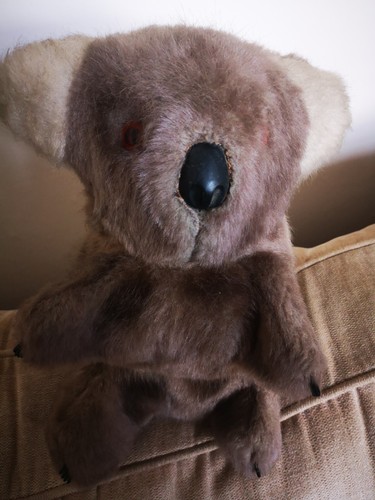 Vintage koala bear case - koala, pj