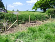 M8/100/15 Stock Fencing Sheep