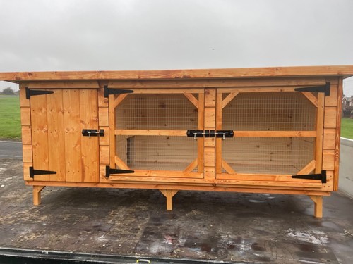 Rabbit hutch guinea pig - rabbit,