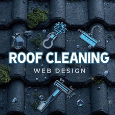 PROFESSIONAL WORDPRESS WEBSITE