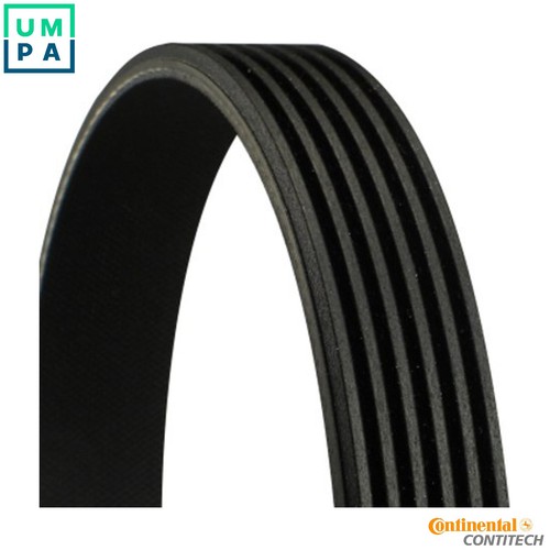 Vribbed belt 6pk1448 - for, ford