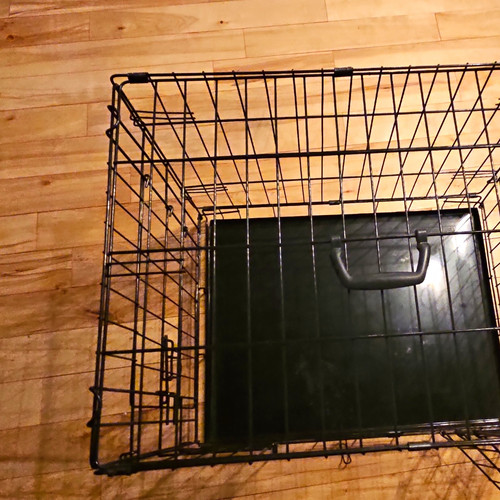 Black steel wire folding dog - wire,