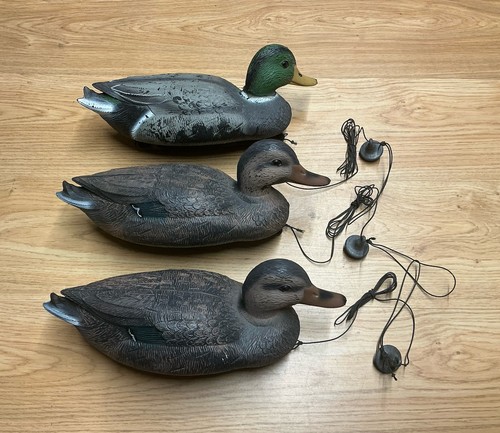 Sport plast mallard duck - sport, 3
