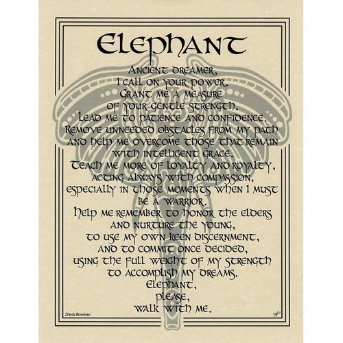 Elephant prayer poster x - prayer,