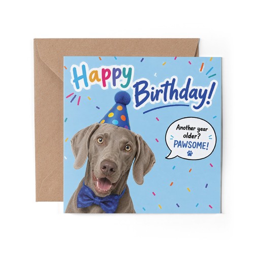 Weimaraner dog greeting - x,