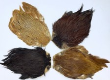 Brown cock cape,fly tying material,fly fishing  B grade 