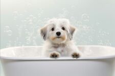 Havanese in Bathtub Waterproof Metal Sign , Havanese Plaque, Havanese Sign