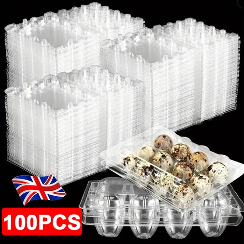 100pcs quail egg box - quail,