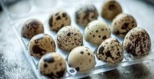 12 Japanese (coturnix) quail Eggs.