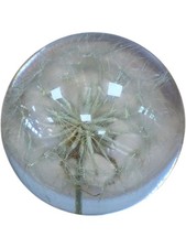 Vintage 1989 Hafod Grange Dandelion Seed Clock Paperweight Original Lucite Resin