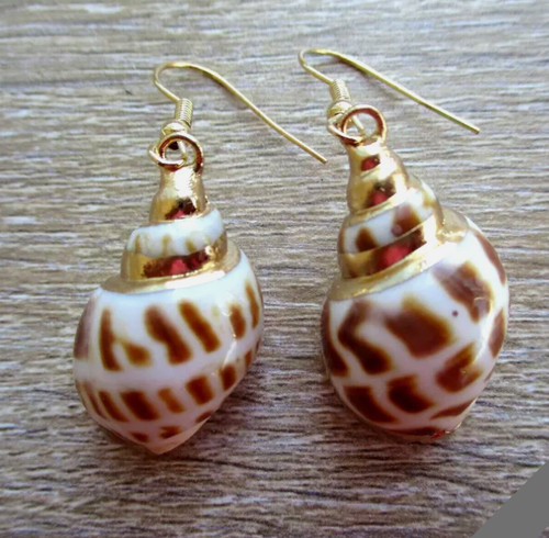 Conch shell dangle earrings - shell,
