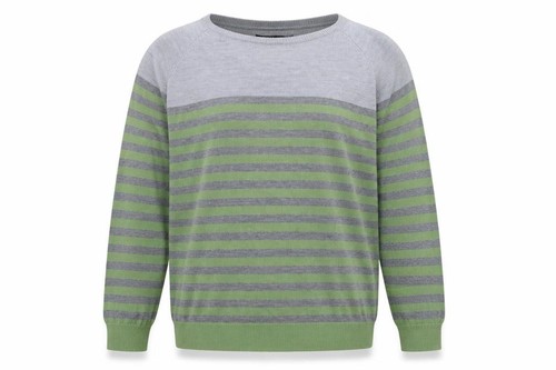 Cedar wood state mens pullover - cedar,