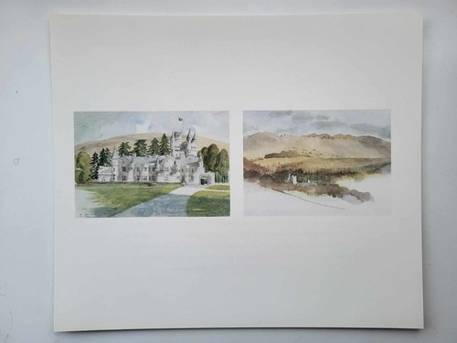 Vintage print prince wales - prince, of