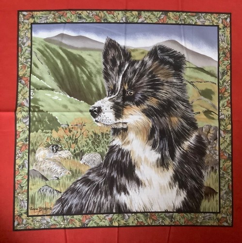 Collie dog cushion - dog, panel