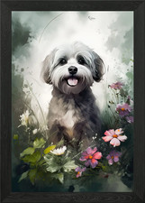 Havanese Dog Watercolor Framed