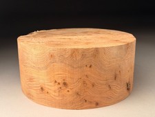 Large Spalted Burr Elm Wood