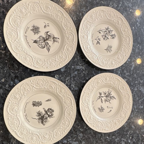 Vintage wedgwood commemorative - vintage,