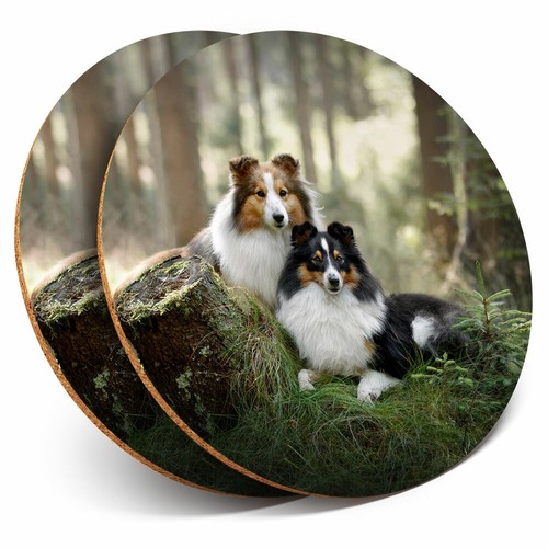 Coasters sheltie dog - x,