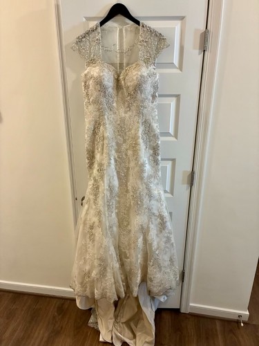 Elegant beaded lace - beaded, justin
