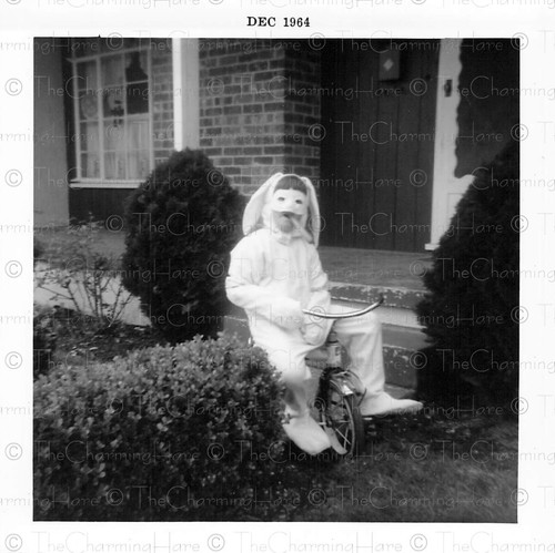 Vintage photo 1964 child - vintage,