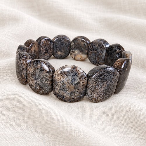 Black fossil coral - black,