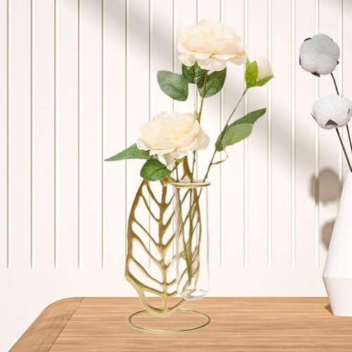 Hydroponic test tube - test, vase