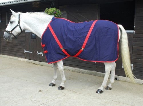 Rhinegold summer sheet horse - sheet,