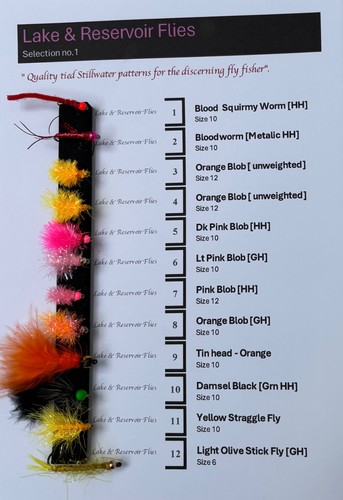 Selection flies for - of,