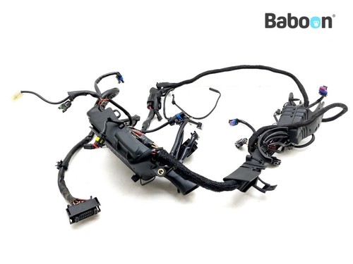 Wiring harness - harness, (main)