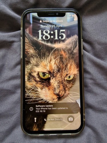 Iphone 64gb black unlocked - 12,