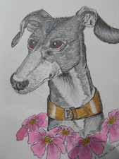 Original Signed Watercolour And Ink Greyhound  Lurcher Painting Dog  Art
