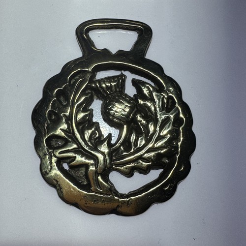 Vintage thistle horse - vintage,