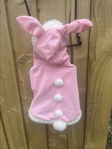 Easter bunny costume - costume, for