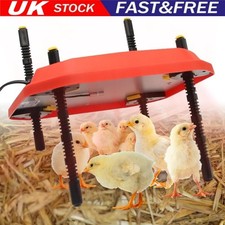 12" Adjustable Chick Brooder