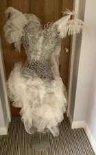 Silver Sparkly Showgirl Dress