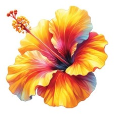 9x9cm flower wall decal