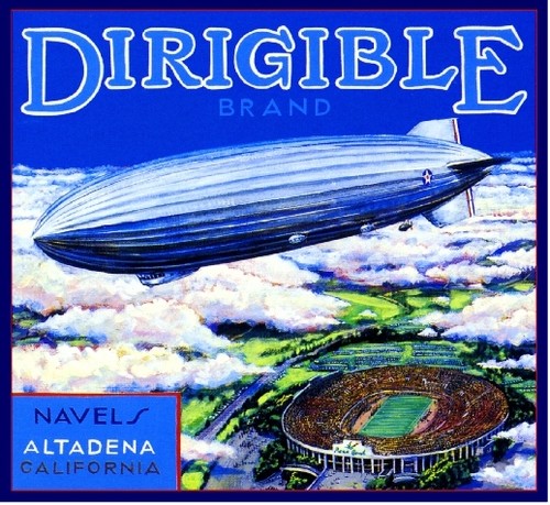 Pasadena dirigible blimp - pasadena, rose