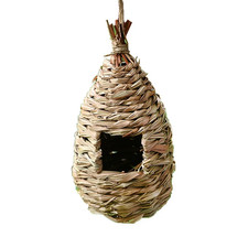 Qttie bird nest - bird,