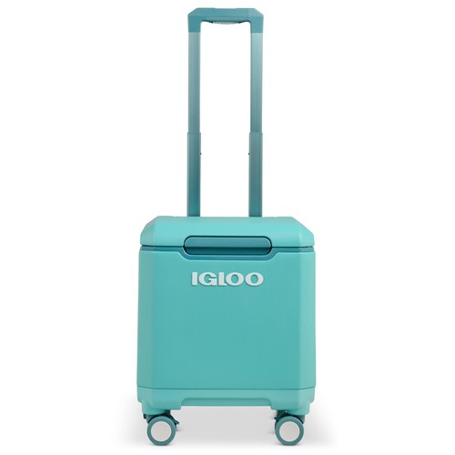 Igloo cooler tag along - cooler,