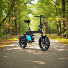 Adult Gift Pick RA Folding