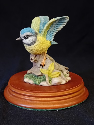 Leonardo collection blue tit - leonardo, 'blue