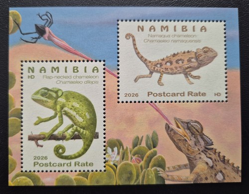 Namibia 2026 chameleons of - chameleons,