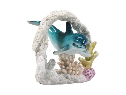 Dolphin coral beautiful - in,