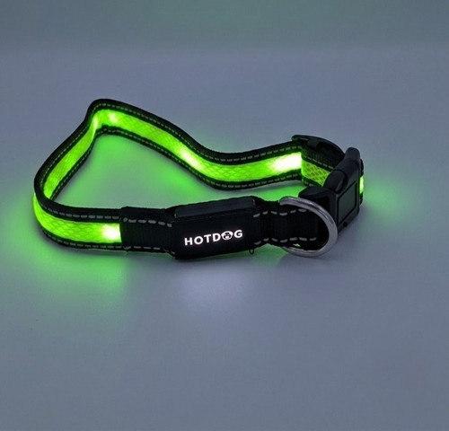 Hotdog led dog - led, collar