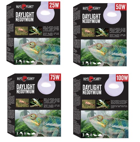 Repti planet daylight - planet,