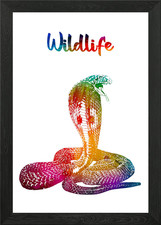 Cobra Framed Wall Art Poster